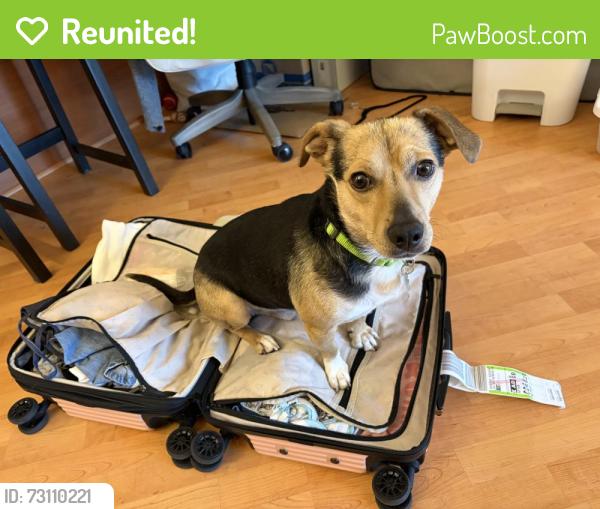 Reunited Male Dog last seen Honey Creek Place and Bluemound Rd by N 79th St, Milwaukee, WI 53213