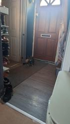 Reunited Male Cat last seen Highfield road park, North Northamptonshire, England NN15
