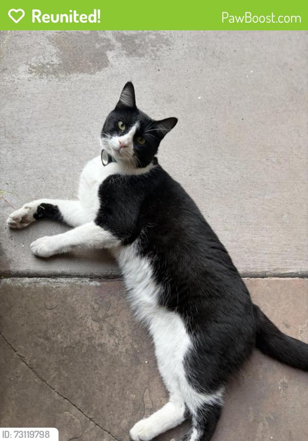 Reunited Unknown Cat last seen Near San Carlos Ave, San Carlos, CA 94070