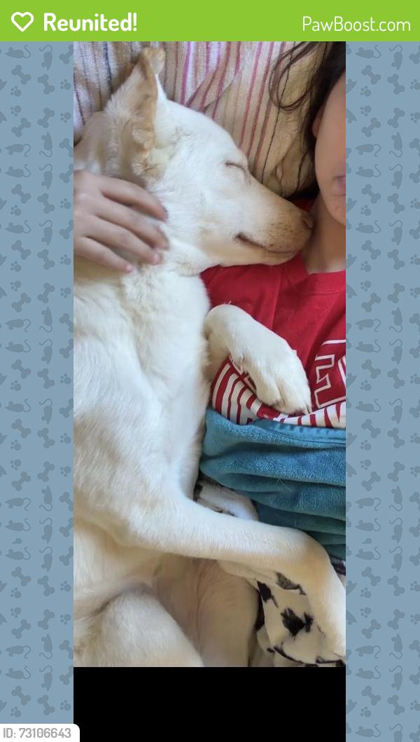 Reunited Female Dog last seen North Edwards, CA 93523, USA, North Edwards, CA 93523