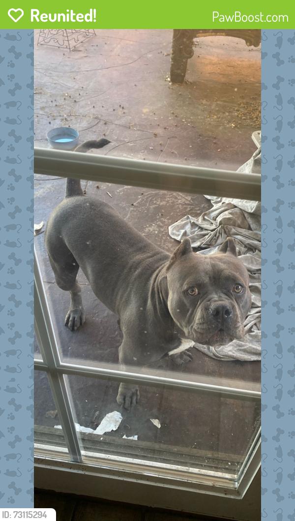Reunited Male Dog last seen Montgomery Waller Recreational Center, San Diego, CA 92154