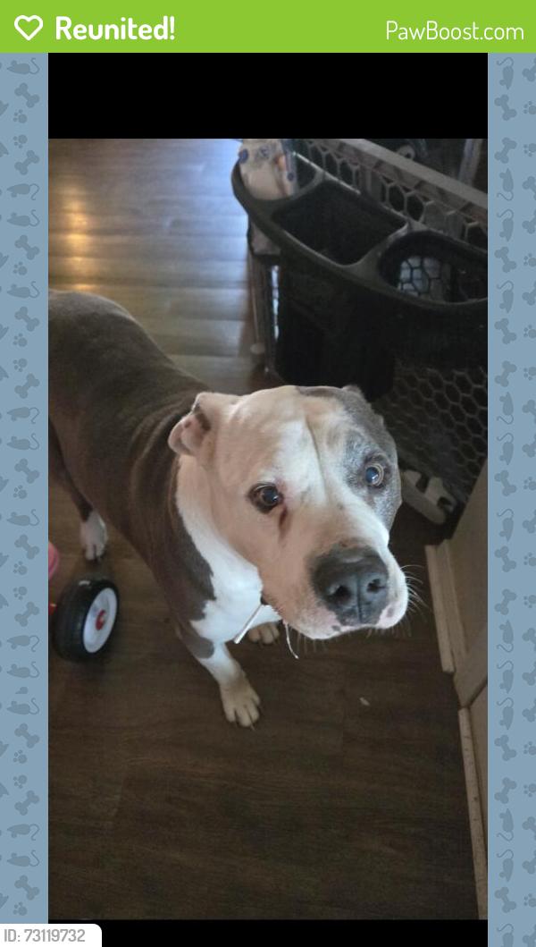 Reunited Male Dog last seen Near E 79th Pl, Tulsa, OK 74133, USA, Tulsa, OK 74133