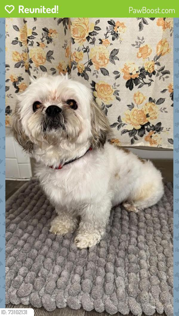 Reunited Male Dog last seen Irvington Rd and Midvale, Tucson, AZ 85746