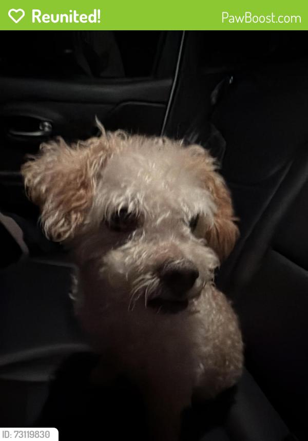 Reunited Male Dog last seen Princess Anne…Rita’s….7-11 area, Virginia Beach, VA 23455
