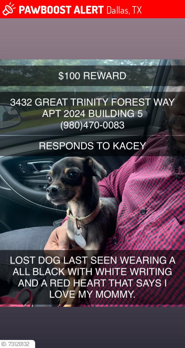 Lost Female Dog last seen wadsworth and great trinity forest way, Dallas, TX 75216