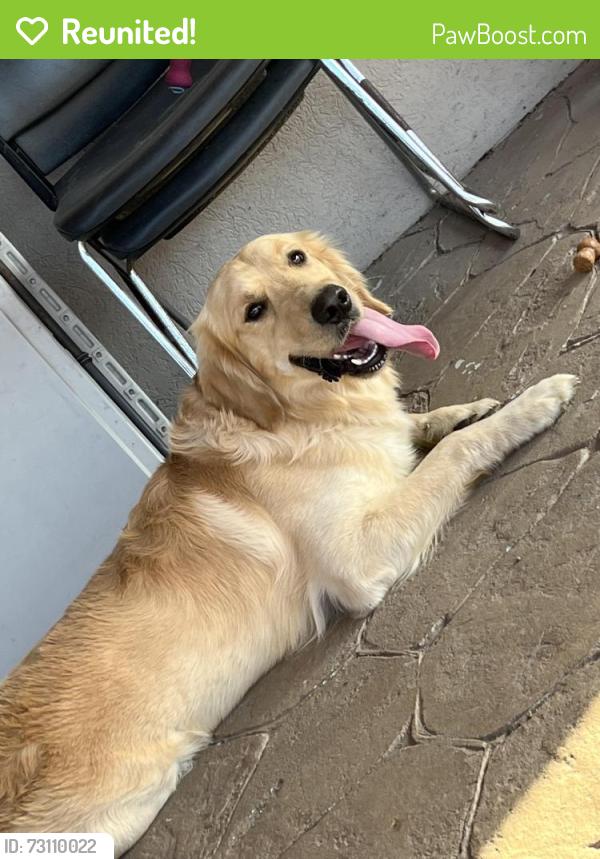 Reunited Male Dog last seen County rd 175 E, Pearland, TX 77584