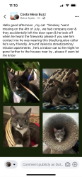 Lost Male Cat last seen Valencia / MISSON/ el Camino / La salle, Costa Mesa, CA 92626