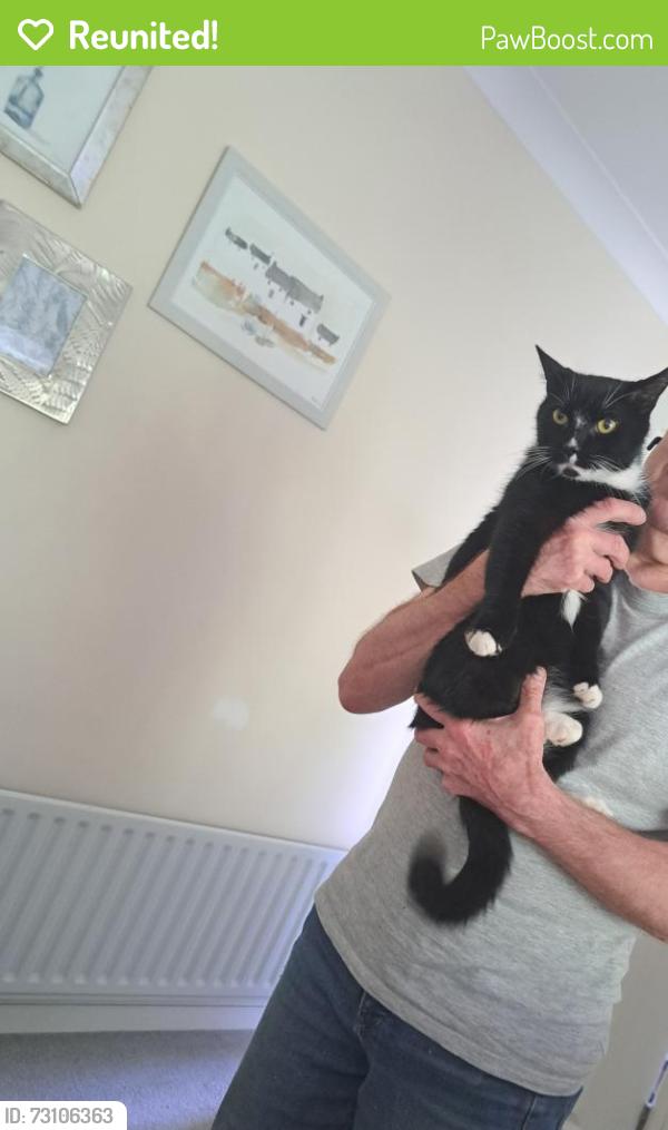 Reunited Male Cat last seen Train station Northfield, West Midlands, England B31 2QG