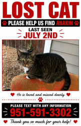 Lost Male Cat last seen Near mona bell ct riverside ca 92504, Riverside, CA 92504