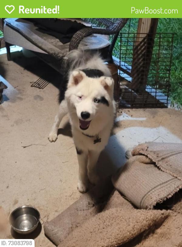 Reunited Unknown Dog last seen Ridge Heights, New Braunfels, TX 78130
