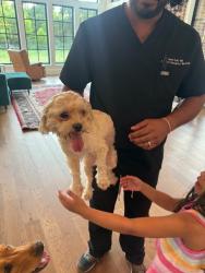 Reunited Female Dog last seen SE 59th and post near tinker, Oklahoma City, OK 73150