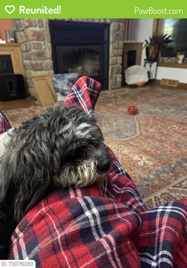 Reunited Male Dog last seen Oakwood Drive and Knoll Avenue, Topeka, KS 66617