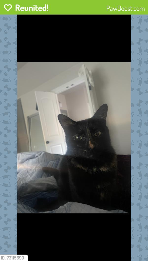 Reunited Female Cat last seen Sw Morgan road, Oklahoma City, OK 73179
