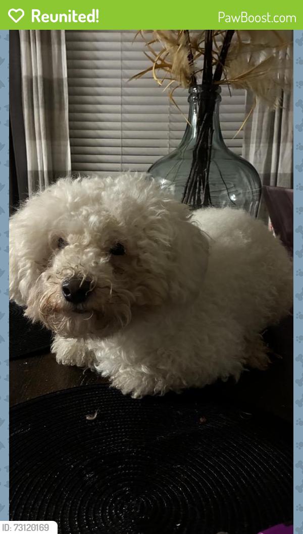 Reunited Male Dog last seen Near Bryce Meadow Ln, Houston, TX 77047, USA, Houston, TX 77047