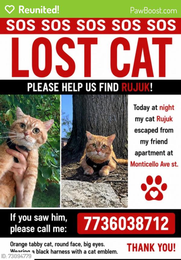 Reunited Male Cat last seen Diversey- Central Park , Chicago, IL 60647