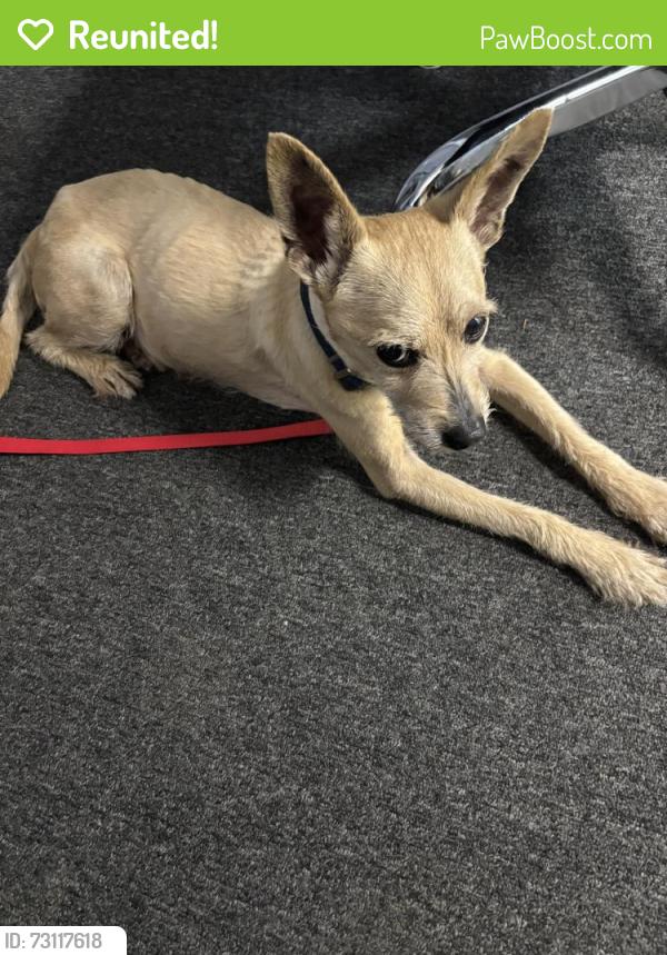 Reunited Male Dog last seen Near Comfort Ln., Durham, NC 27705