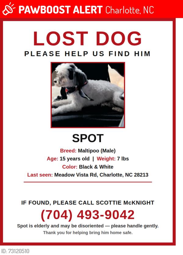 Lost Male Dog last seen Meadow Vista Rd, Charlotte, NC 28213