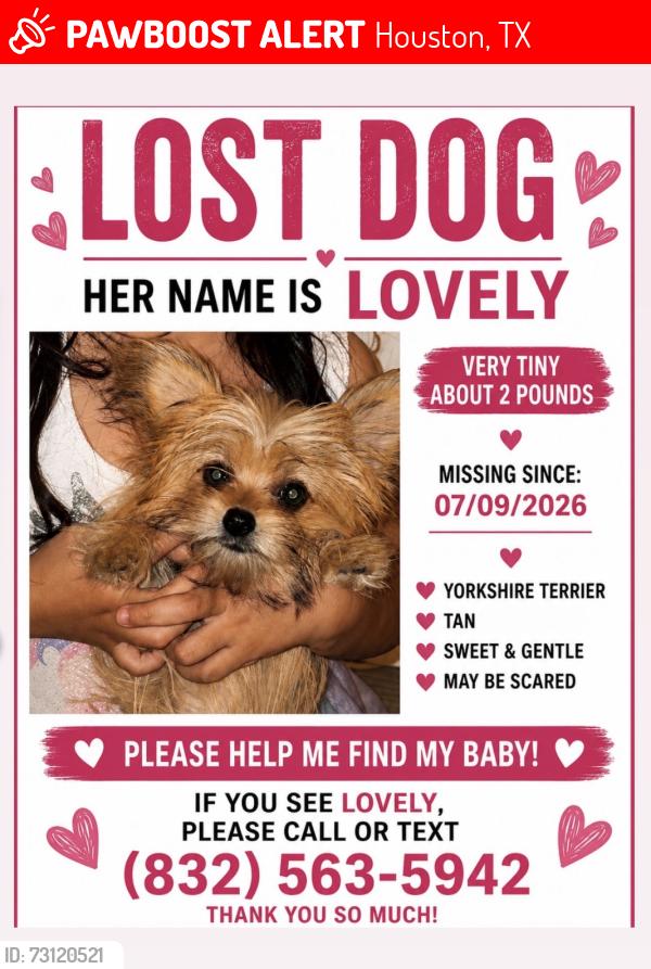 Lost Female Dog last seen West rd, Houston, TX 77095