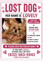 Lost Female Dog last seen West rd, Houston, TX 77095