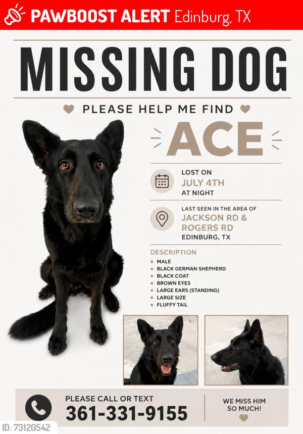 Lost Male Dog last seen Near Evaristo Ln Edinburg, Edinburg, TX 78541