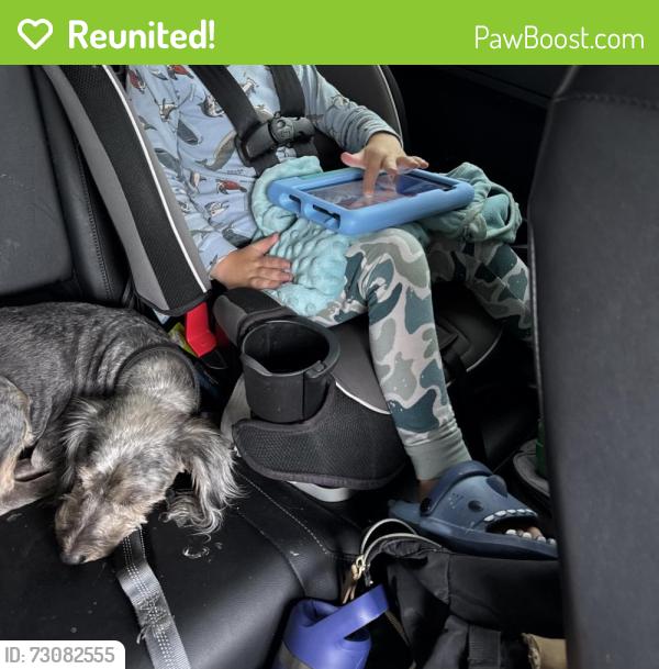Reunited Female Dog last seen Near 2313 woodland blvd, Fort Myers, FL 33907