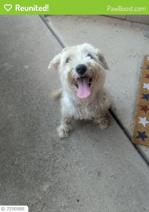 Reunited Female Dog last seen Kemp, Arlington, TX 76018