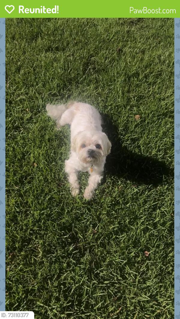 Reunited Male Dog last seen Crawford lane, Mobile, AL 36617