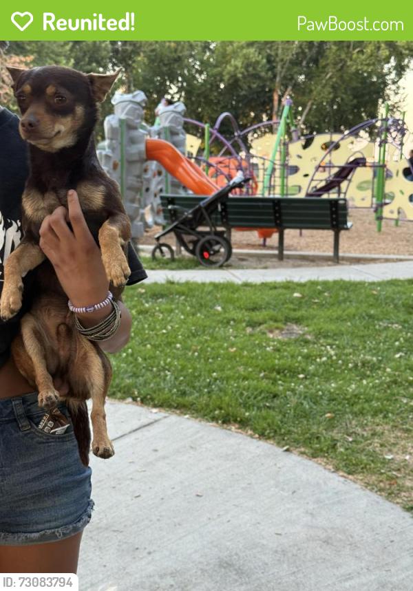Reunited Male Dog last seen Near Veterans Park, City of Atwater, CA 95301