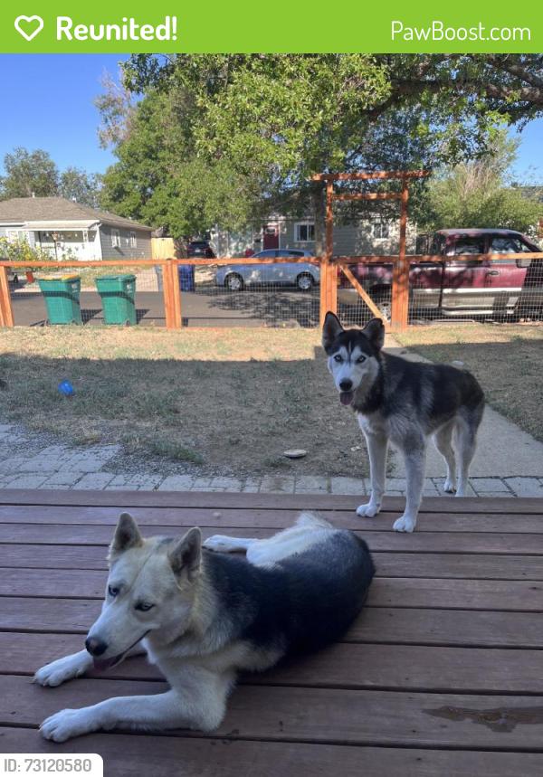 Reunited Male Dog last seen Near Yost St, Aurora, CO 80011, USA, Aurora, CO 80011