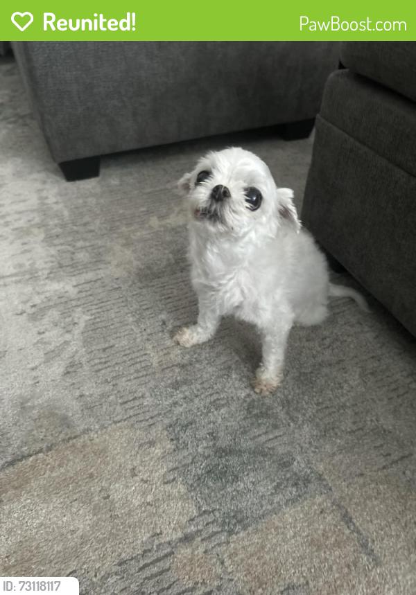 Reunited Female Dog last seen Graywolf Ridge Trail... near North Tarrant Parkway, Fort Worth, TX 76244