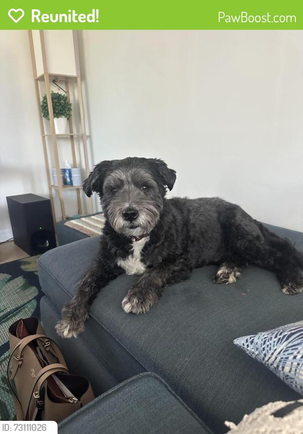 Reunited Male Dog last seen 10th st and 13th Ave n, Jacksonville Beach, FL 32250