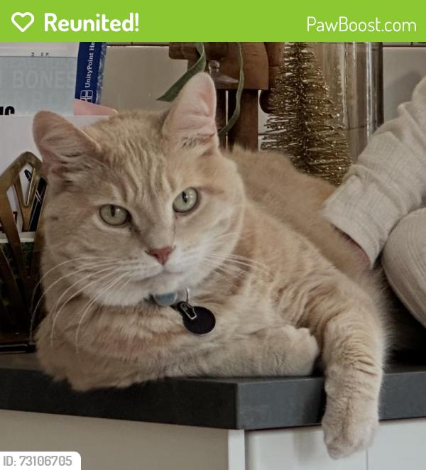 Reunited Male Cat last seen Stanton Ave & SW 26th St, Des Moines, North of the airport, Des Moines, IA 50321