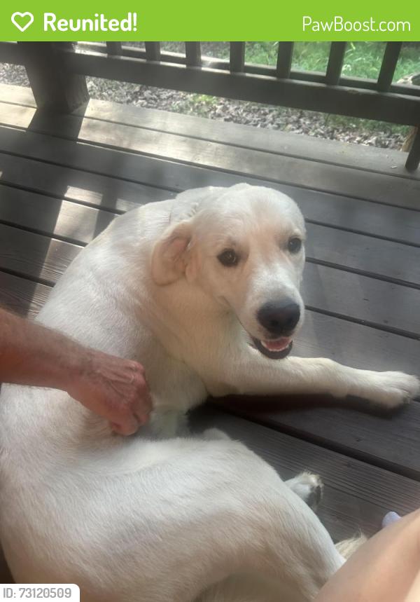 Reunited Male Dog last seen Gibbs Dr/River ests Road, Fannin County, GA 30559