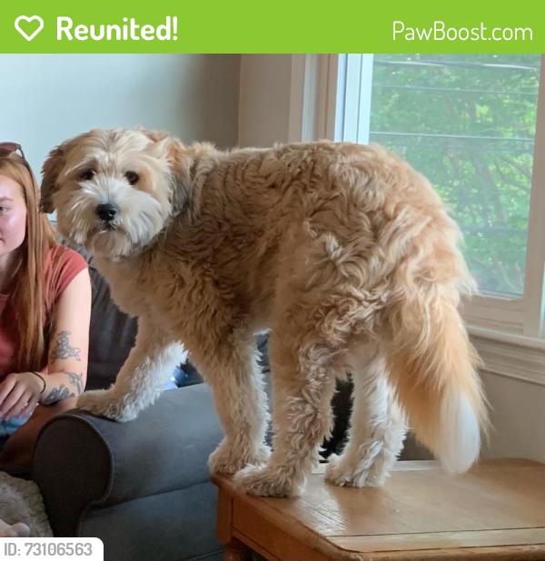 Reunited Female Dog last seen Greenbelt Lake, Greenbelt, MD 20770
