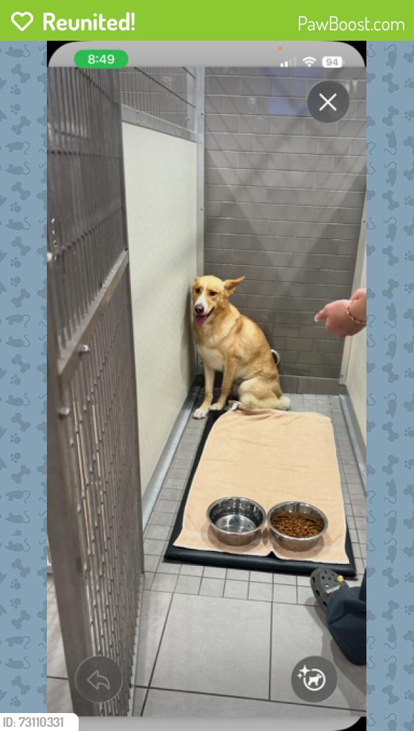Reunited Male Dog last seen VEG emergency hosp, Oceanside, CA 92057