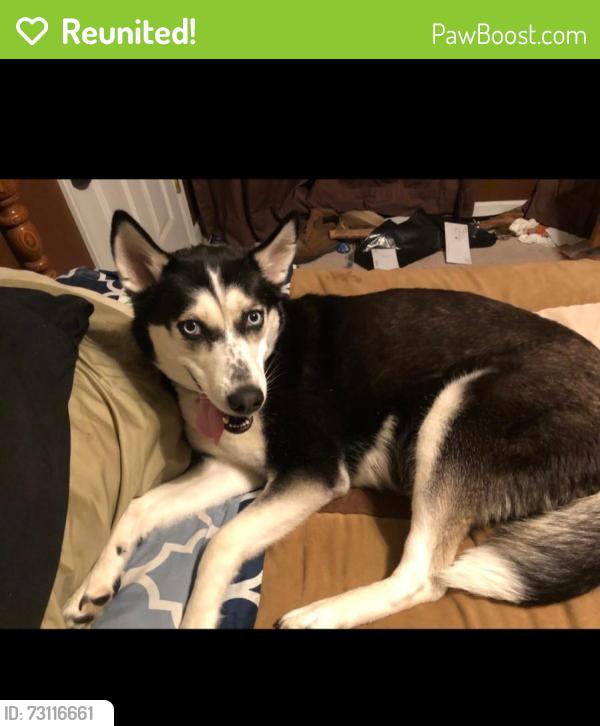 Reunited Female Dog last seen Green Trail Crossing, West Milford, NJ 07456
