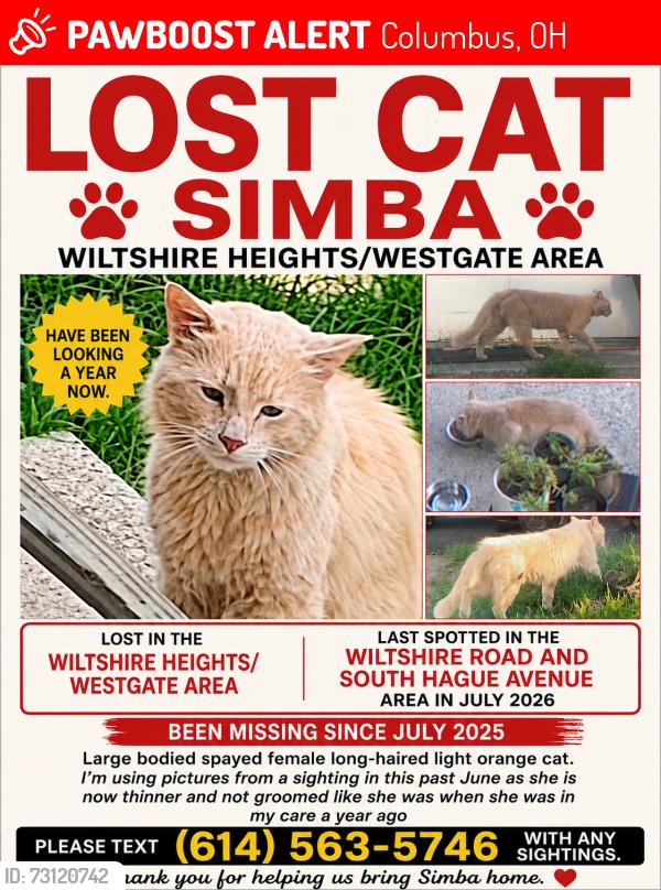 Lost Female Cat last seen Wiltshire rd, near Eakin rd, Columbus, OH 43204