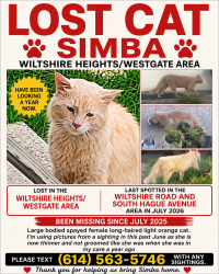 Lost Female Cat last seen Wiltshire rd, near Eakin rd, Columbus, OH 43204
