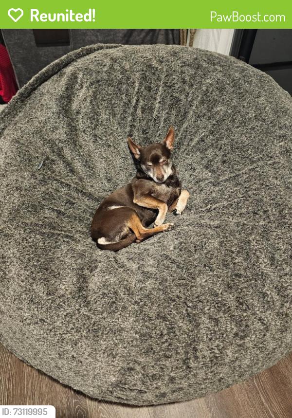 Reunited Male Dog last seen S grant st and e Cornell st, Englewood, CO 80113