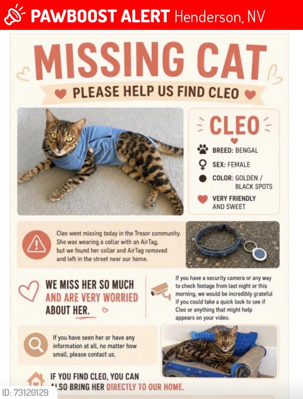 Lost Female Cat last seen Shadow canyon, Henderson, NV 89012