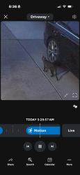 Found/Stray Unknown Cat last seen Arizona Sunset Road, Rio Rancho, NM 87124
