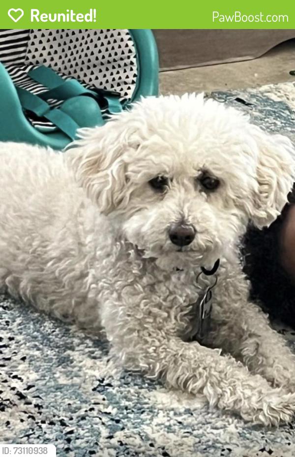 Reunited Male Dog last seen 87th Ave & Glendale, Glendale, AZ 85305