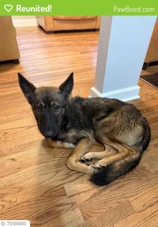 Reunited Male Dog last seen Baker ridge dr nw and forest ridge dr nw, Atlanta, GA 30318