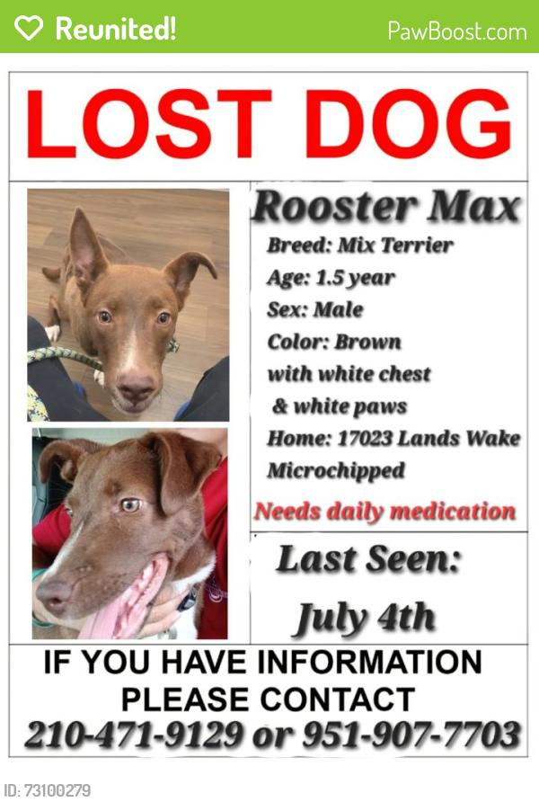 Reunited Male Dog last seen Stahl road and Green mountain, San Antonio, TX 78247