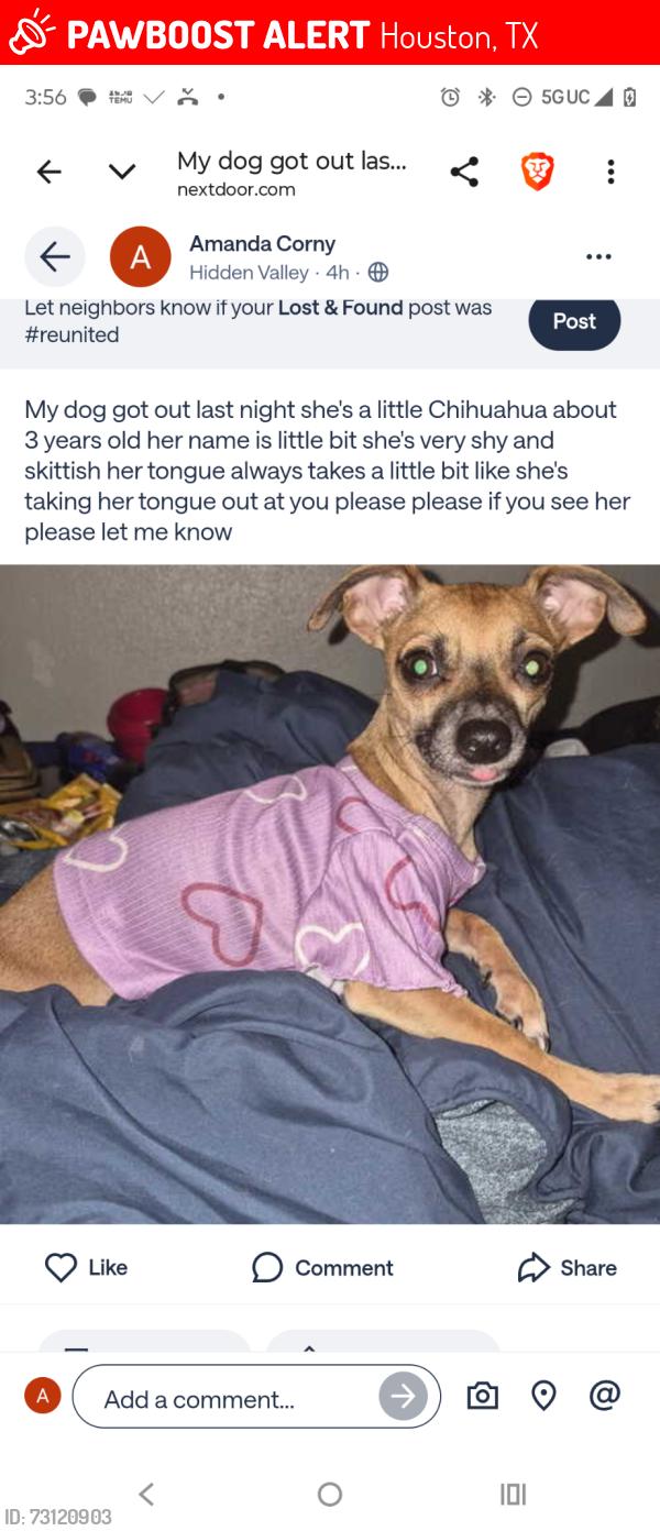 Lost Female Dog last seen Near, Houston, TX 77088