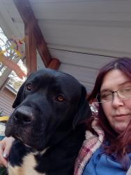 Reunited Male Dog last seen Blanton Road, Sharon, SC 29742