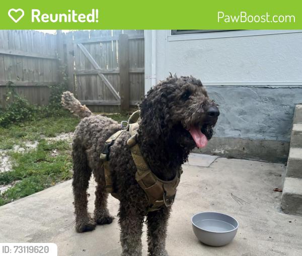 Reunited Male Dog last seen Tecumseh Lane, Okaloosa County, FL 32569