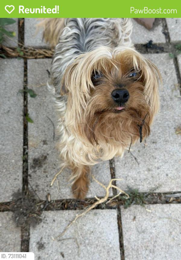 Reunited Unknown Dog last seen Sable and 10th, Aurora, CO 80011