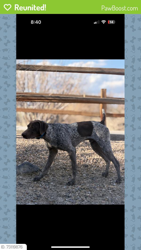 Reunited Male Dog last seen Wyoming and marion, Las Vegas, NV 89104