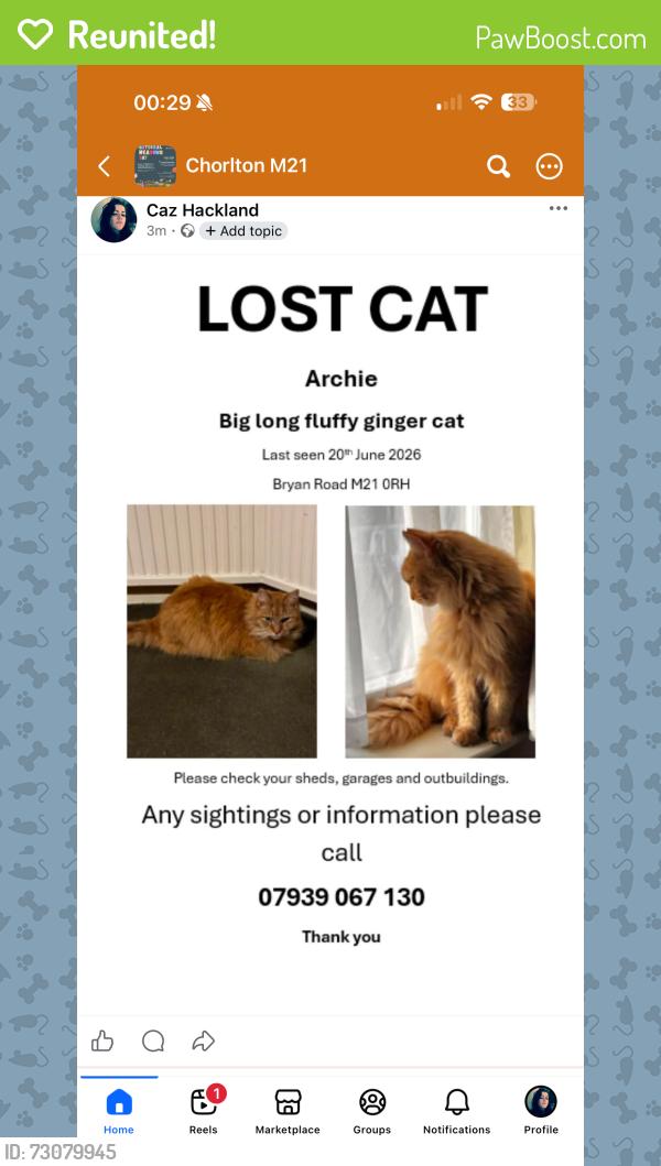 Reunited Male Cat last seen Chorlton/Whalley Range, Greater Manchester, England M21
